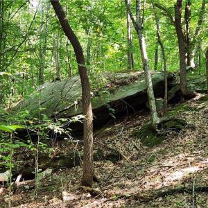 Photo #1 of Grassy Knob, Pilot Mountain, NC 25.0 acres