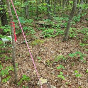 Photo #15 of Grassy Knob, Pilot Mountain, NC 25.0 acres