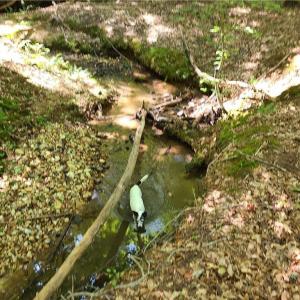 Photo #4 of Grassy Knob, Pilot Mountain, NC 25.0 acres