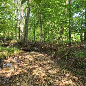 Photo #8 of Grassy Knob, Pilot Mountain, NC 25.0 acres