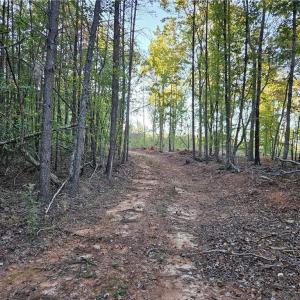 Photo #22 of Grassy Knob, Pilot Mountain, NC 25.0 acres