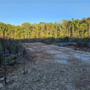 Photo #20 of Grassy Knob, Pilot Mountain, NC 25.0 acres