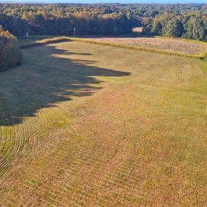 Photo #3 of Lot 15 Crumpton, Burlington, NC 12.8 acres