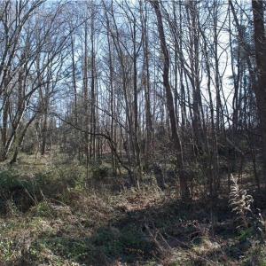 Photo #3 of 6925 US Highway 158, Stokesdale, NC 2.6 acres