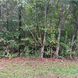 Photo #1 of 7345 Sun Harbor, Browns Summit, NC 1.6 acres