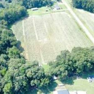 Photo #1 of Penman, High Point, NC 17.1 acres