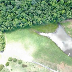 Photo #3 of 1279 Harrison, Randleman, NC 4.4 acres