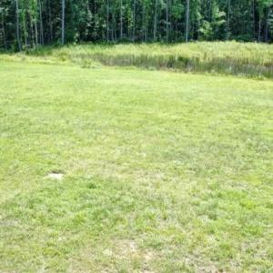 Photo #4 of 1279 Harrison, Randleman, NC 4.4 acres