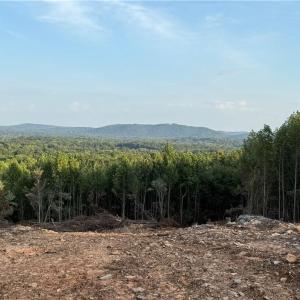 Photo #10 of Woodfield, Sophia, NC 25.0 acres