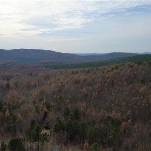 Photo #23 of Woodfield, Sophia, NC 99.6 acres