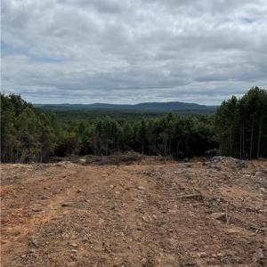 Photo #2 of Woodfield, Sophia, NC 99.6 acres
