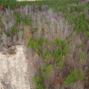 Photo #17 of Woodfield, Sophia, NC 99.6 acres