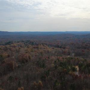 Photo #22 of Woodfield, Sophia, NC 99.6 acres