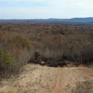 Photo #37 of Woodfield, Sophia, NC 99.6 acres