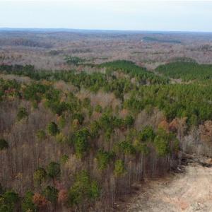 Photo #31 of Woodfield, Sophia, NC 99.6 acres
