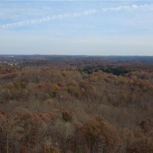 Photo #21 of Woodfield, Sophia, NC 99.6 acres