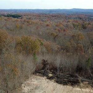 Photo #13 of Woodfield, Sophia, NC 99.6 acres