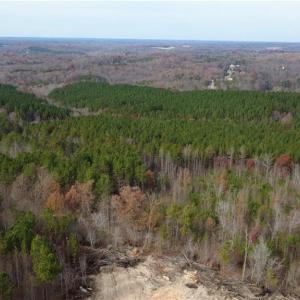 Photo #16 of Woodfield, Sophia, NC 99.6 acres