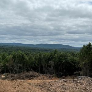 Photo #1 of Woodfield, Sophia, NC 99.6 acres