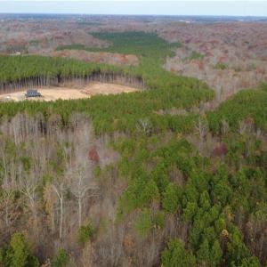Photo #20 of Woodfield, Sophia, NC 99.6 acres