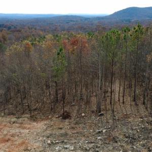 Photo #14 of Woodfield, Sophia, NC 99.6 acres