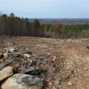 Photo #41 of Woodfield, Sophia, NC 99.6 acres