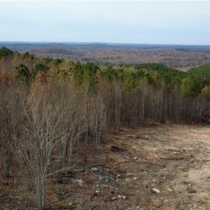 Photo #35 of Woodfield, Sophia, NC 99.6 acres