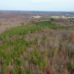 Photo #29 of Woodfield, Sophia, NC 99.6 acres