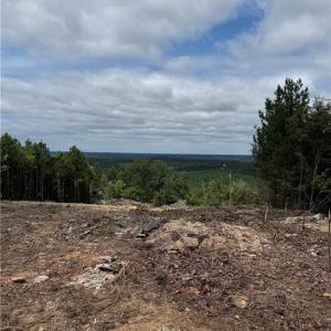 Photo #3 of Woodfield, Sophia, NC 99.6 acres