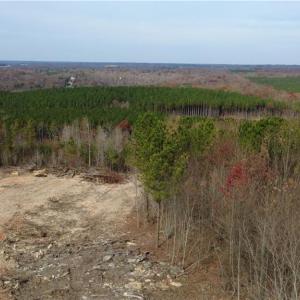 Photo #36 of Woodfield, Sophia, NC 99.6 acres