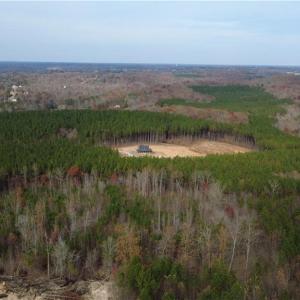 Photo #32 of Woodfield, Sophia, NC 99.6 acres