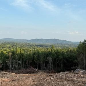 Photo #9 of Woodfield, Sophia, NC 99.6 acres