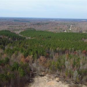 Photo #33 of Woodfield, Sophia, NC 99.6 acres