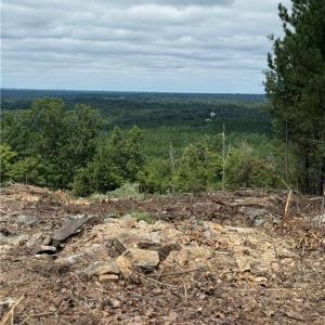 Photo #4 of Woodfield, Sophia, NC 99.6 acres