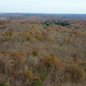 Photo #28 of Woodfield, Sophia, NC 99.6 acres