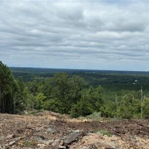 Photo #5 of Woodfield, Sophia, NC 99.6 acres