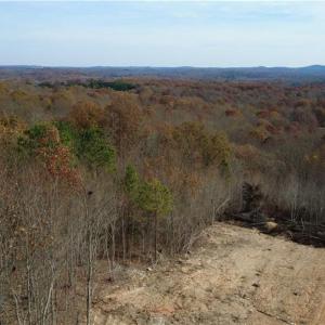 Photo #38 of Woodfield, Sophia, NC 99.6 acres