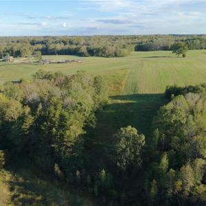 Photo #32 of Stewart, Ruffin, NC 88.0 acres