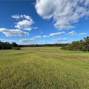Photo #38 of Stewart, Ruffin, NC 88.0 acres