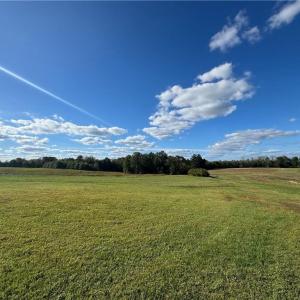 Photo #37 of Stewart, Ruffin, NC 88.0 acres