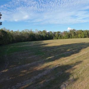 Photo #23 of Stewart, Ruffin, NC 88.0 acres