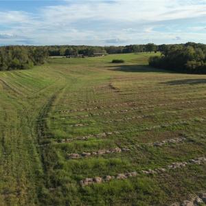 Photo #6 of Stewart, Ruffin, NC 88.0 acres