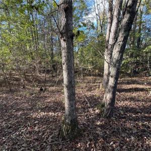 Photo #46 of Stewart, Ruffin, NC 88.0 acres