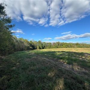 Photo #43 of Stewart, Ruffin, NC 88.0 acres