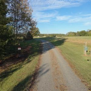 Photo #26 of Stewart, Ruffin, NC 88.0 acres