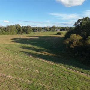 Photo #22 of Stewart, Ruffin, NC 88.0 acres