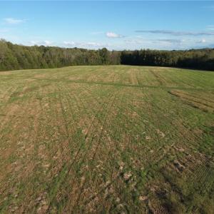 Photo #7 of Stewart, Ruffin, NC 88.0 acres