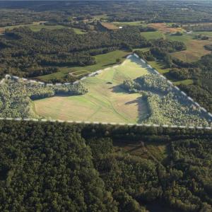 Photo #3 of Stewart, Ruffin, NC 88.0 acres