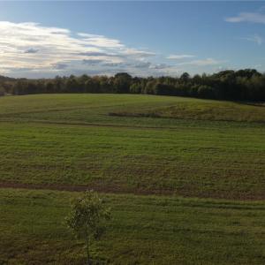 Photo #36 of Stewart, Ruffin, NC 88.0 acres