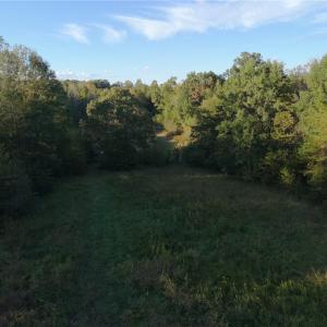 Photo #28 of Stewart, Ruffin, NC 88.0 acres